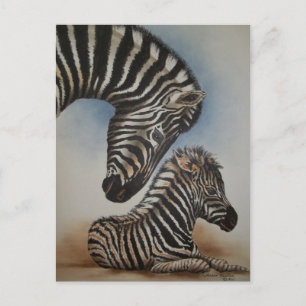 Spiegelbild (Zebra) Zubehör Postkarte