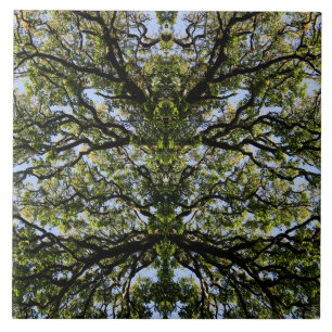 Spiegelbilderbäume Fliese