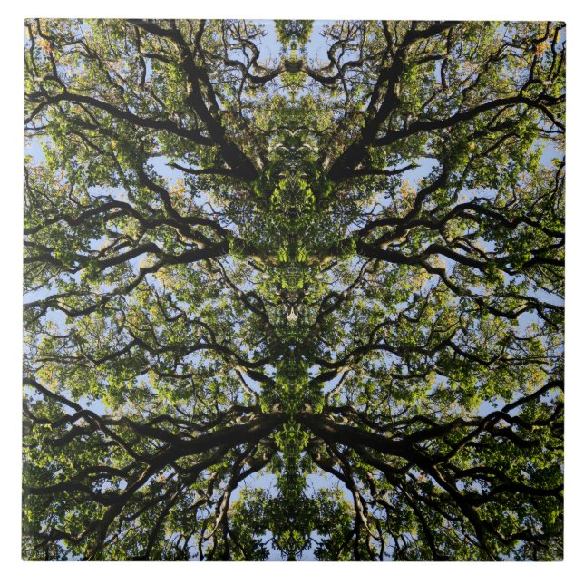 Spiegelbilderbäume Fliese (Vorderseite)