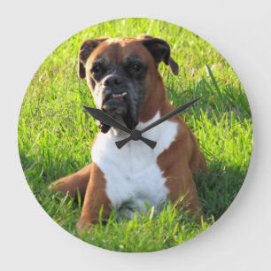Spiegeln Sie den Boxer - Hund - Wall-Uhr Große Wanduhr