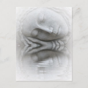 Spiegelungen anderer Natur Postkarte