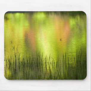 Spiegelungen im Mirror Lake Yosemite Mousepad
