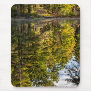 Spiegelungen im Red Eagle Pond   White Mountains Mousepad