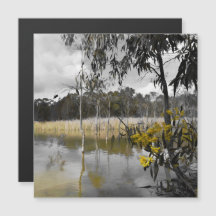 Spiegelungen unter der Magnetkarte des grauen Skie