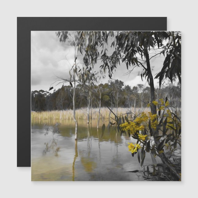 Spiegelungen unter der Magnetkarte des grauen Skie (Vorne/Hinten)