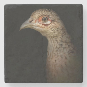 Spiel-Mädchen Steinuntersetzer