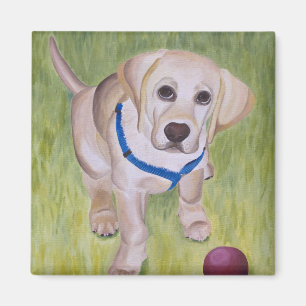 Spiel mit mir. Gelbes Labrador-Retriever Magnent Magnet