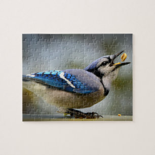 Spiel Puzzle Blauhäher