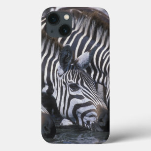 Spiel-Reserve Afrikas, Kenia, Masai-Mara, Ebenen Case-Mate iPhone Hülle