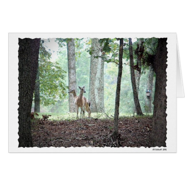 Spielen im Holz (Vorderseite (Horizontal))