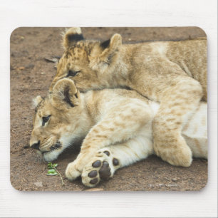 Spielen mit zwei Löwejungen Mousepad