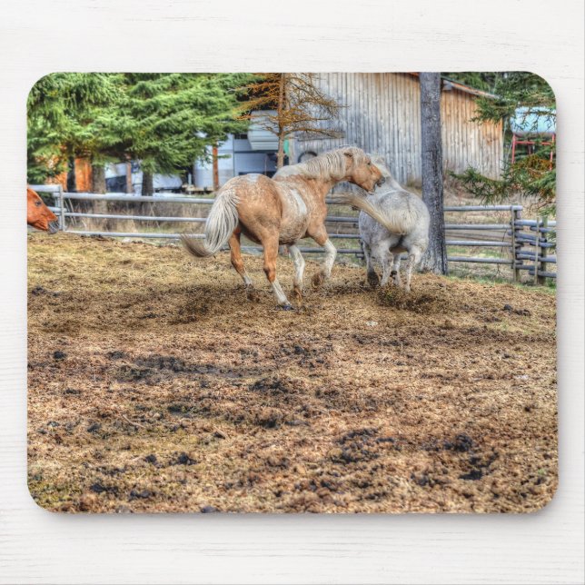 Spielen Palomino & White Ranch Pferd Mousepad (Vorne)