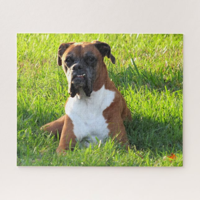 Spielen Sie den Boxer - Puzzle (Horizontal)