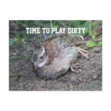 Spielen Sie dreckige, weiße Quaske, Bob, die einen