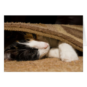 Spielen unter dem Rug