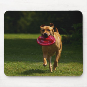 Spielen von Frisbee Mousepad