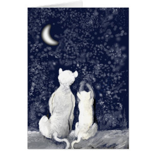 "Spielend mit Sternen "