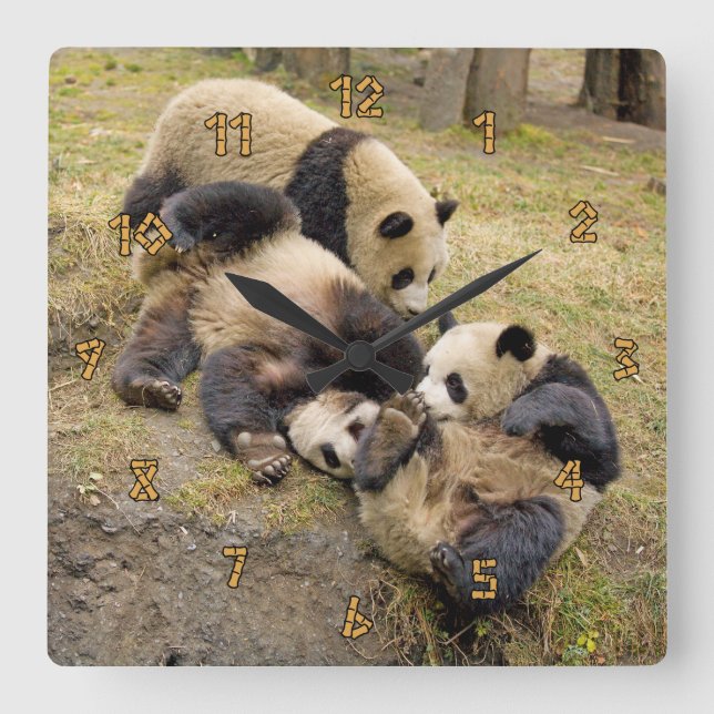 Spielende CUB-Wanduhr des Panda-drei Quadratische Wanduhr (Vorderseite)