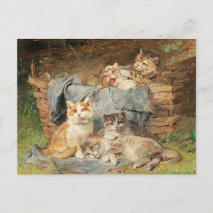 Spielende Katzen   Julius Adam the Younger Postkarte