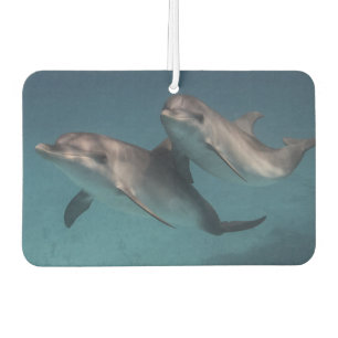 Spielende Pose Autolufterfrischer