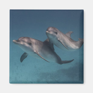 Spielende Pose Magnet