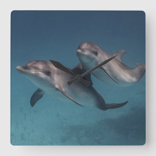 Spielende Pose Quadratische Wanduhr (Vorderseite)