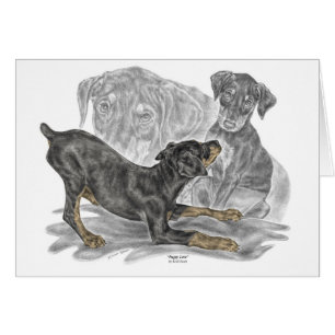 Spielerische Dobermannpinscher-Welpen