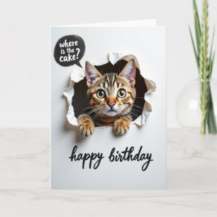 Spielerische Geburtstagskarte mit Tabby-Katze Karte