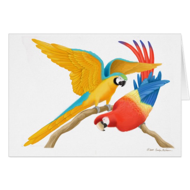 Spielerische Macaws-Karte (Vorderseite (Horizontal))