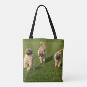 Spielerische Shar Pei Welpen