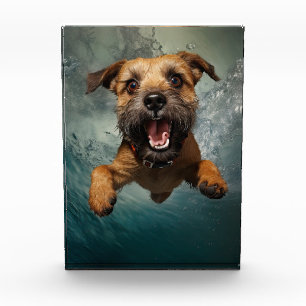 Spielerisches Design für Hunde unter Wasser Fotoblock