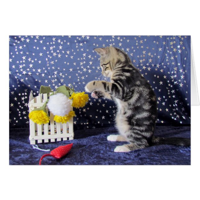 Spielerisches kleines Mädchen - Lilo (Vorderseite (Horizontal))