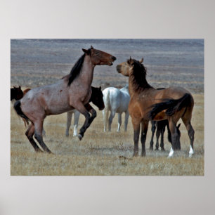 Spielerisches Mustang-Plakat Poster