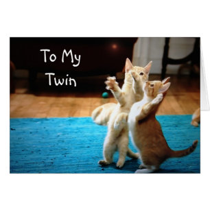 SPIELFÄLTIGE KITTEN *GLÜCKLICHER GEBURTSTAG"