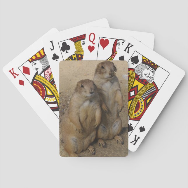 Spielkarte des Präriehunds (Rückseite)