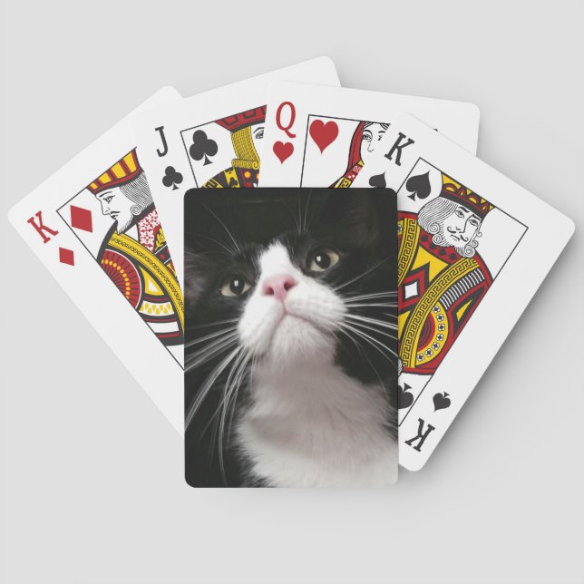 Spielkarten (Rückseite)