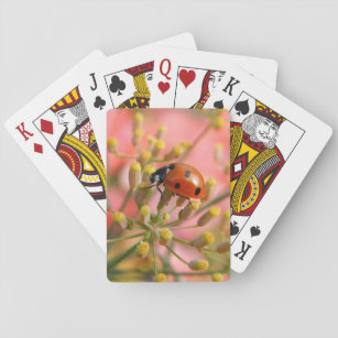 Spielkarten Damen-Bug