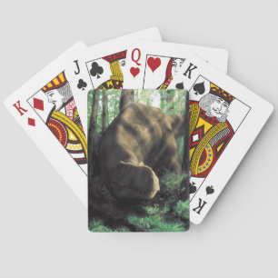 Spielkarten des Dinosauriers
