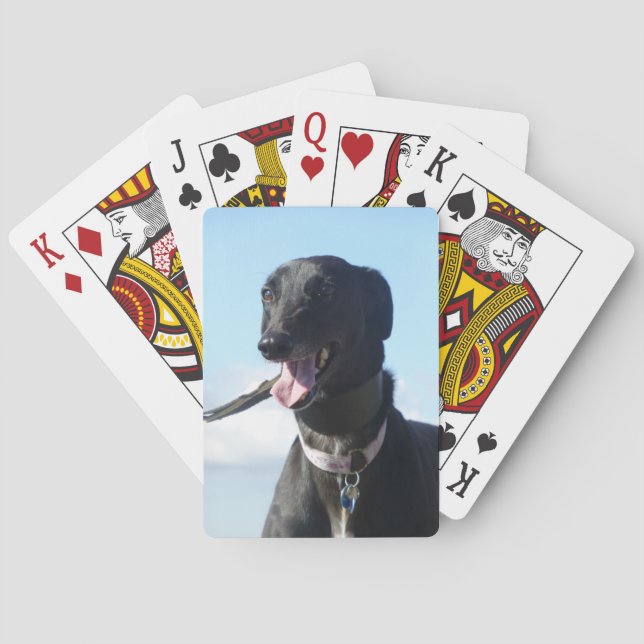 Spielkarten des Windhunds (4) (Rückseite)