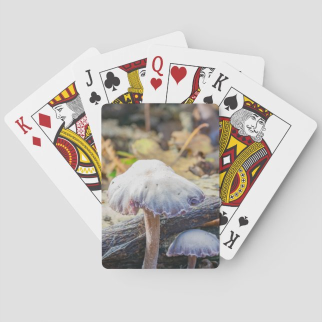 Spielkarten für das Pilzdesign (Rückseite)