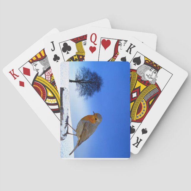Spielkarten für Wildtiere (Rückseite)