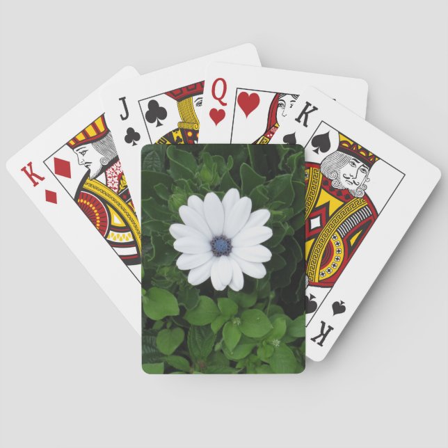 Spielkarten mit weißer Blume (Rückseite)
