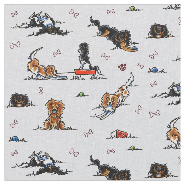 Spielplatz Cavalier CKCS Spaniels Oyster Stoff (Nahaufnahme)