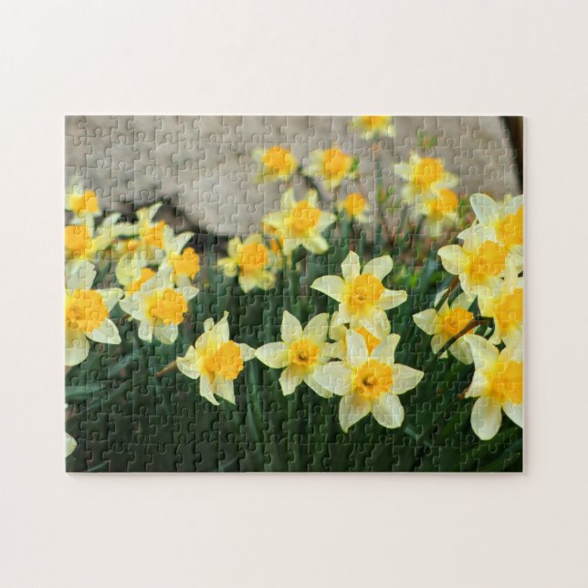 Spielpuzzle-Affodils Puzzle (Horizontal)