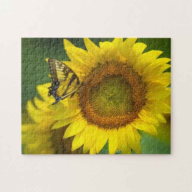Spielpuzzle-Butterfly Sonnenblumen Puzzle (Horizontal)