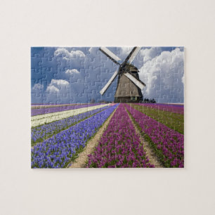 Spielpuzzle-Feld der Hyacinths Puzzle