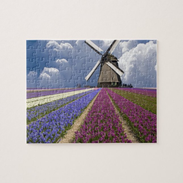 Spielpuzzle-Feld der Hyacinths Puzzle (Horizontal)