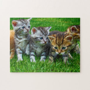 Spielpuzzle-Kätzchen Puzzle