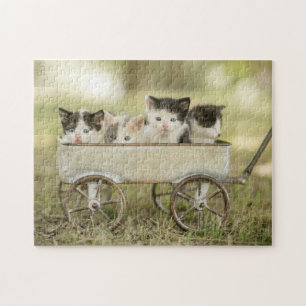 Spielpuzzle-Kätzchen Puzzle