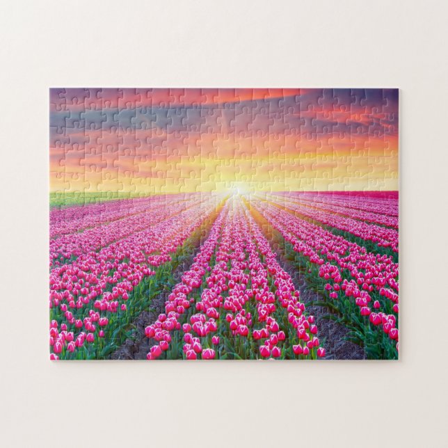 Spielpuzzle-Tulip-Feld Puzzle (Horizontal)